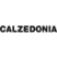 Calzedonia logo