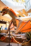 Dragon (12)
